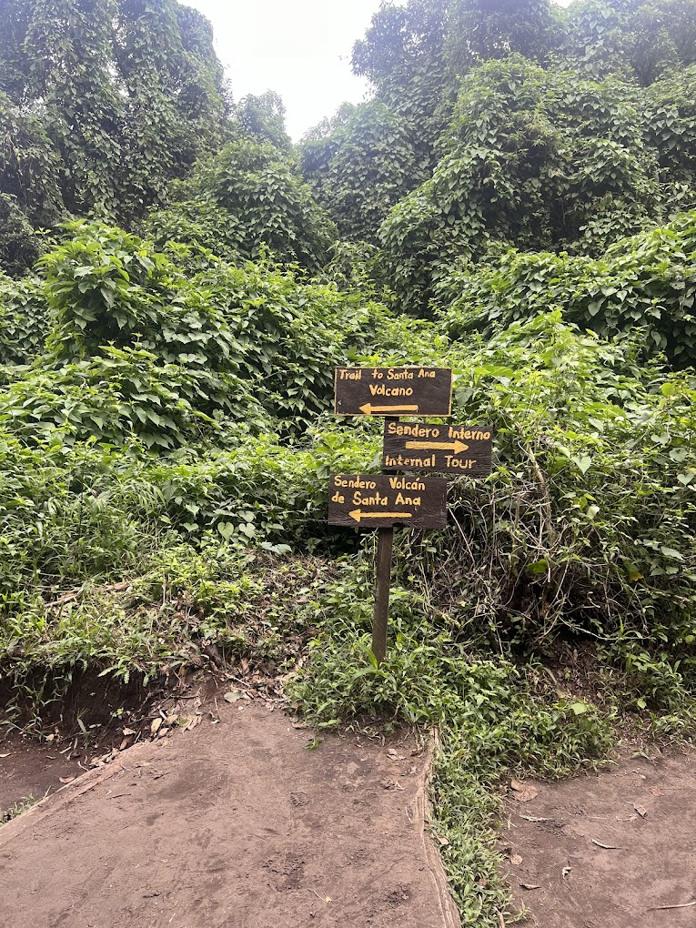 🌋 Ruta Lagos y Volcanes - Imagen 5