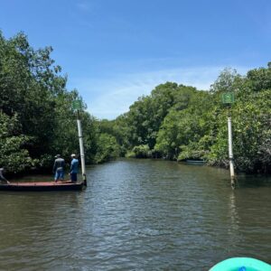 🐊 Tour Barra de Santiago y Avistamiento de Cocodrilos