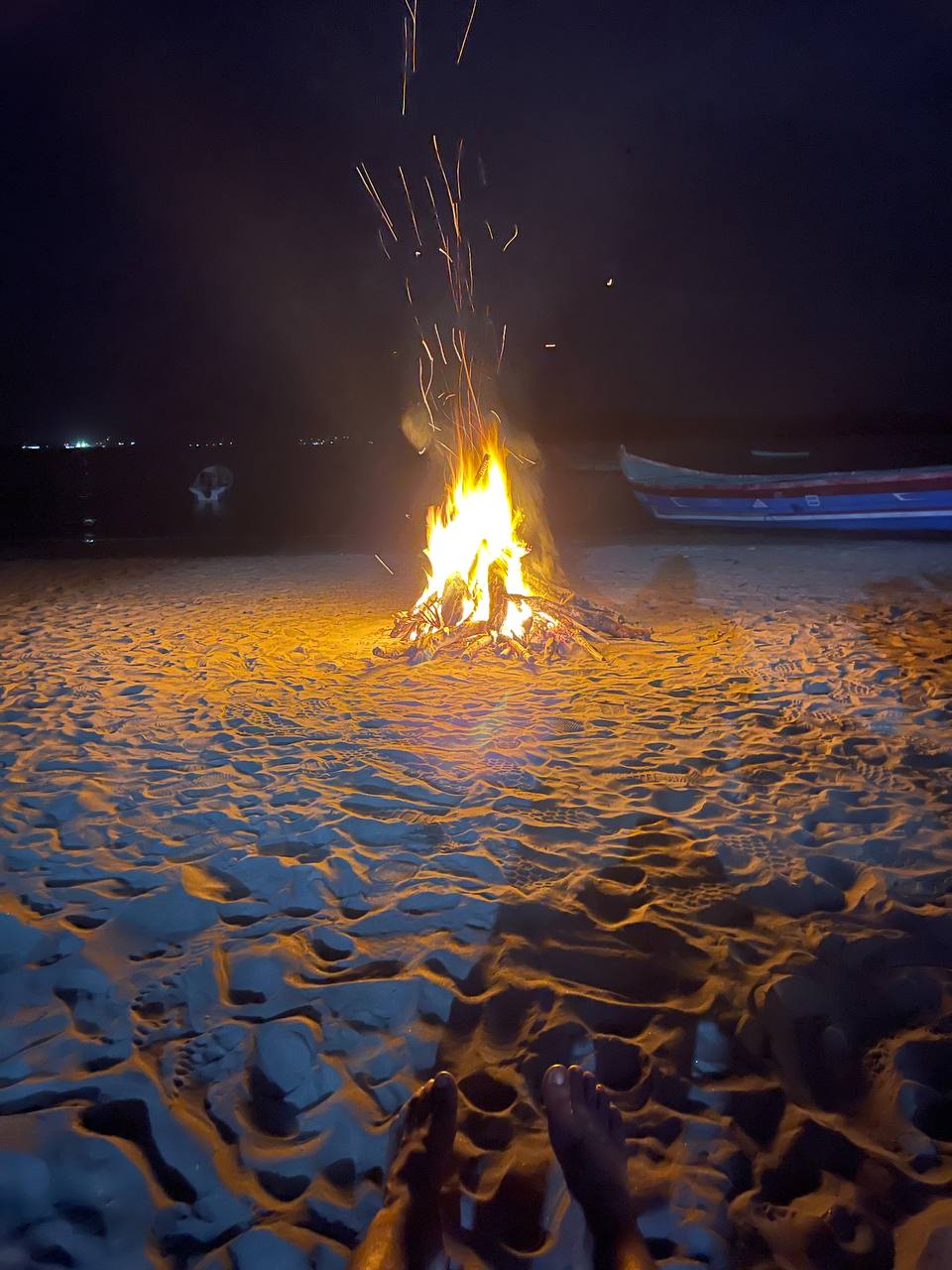 🌴 Tour Golfo de Fonseca - Image 10